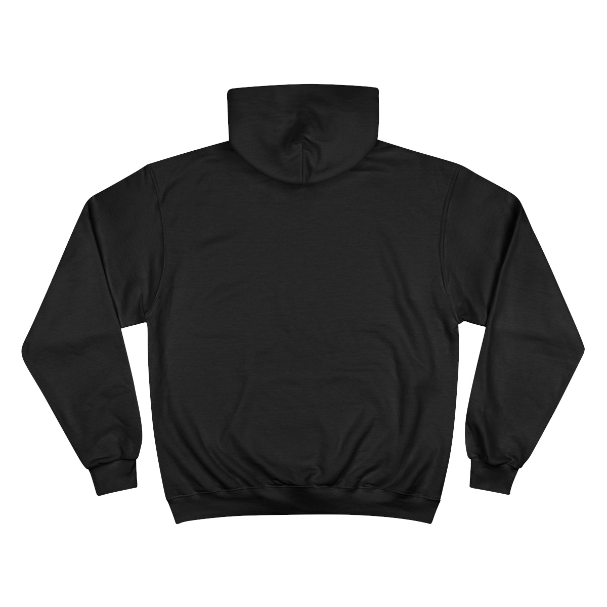 Indiana Cecil M. Harden Lake Hoodie back position view from back black.webp