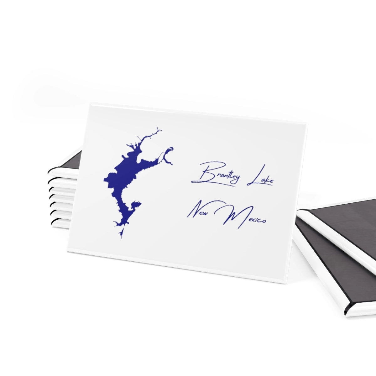 New Mexico Brantley Lake Magnet front position view from set 2 x 3.webp