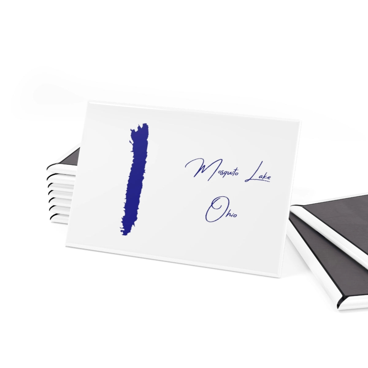 Ohio Mosquito Lake Magnet front position view from set 2 x 3.webp