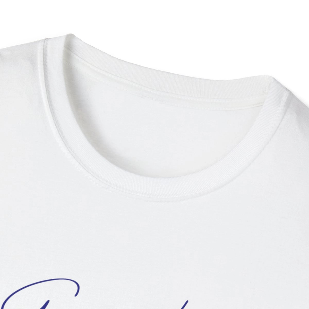Delaware  Garrisons  Lake  T-shirt  other  position  view  from  front-collar-closeup  white.webp