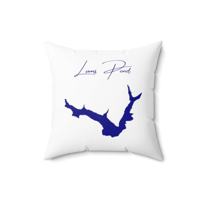 Delaware  Lums  Pond  Pillow  front  position  view  from  back  16  x  16.webp