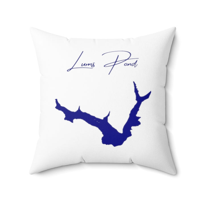 Delaware  Lums  Pond  Pillow  front  position  view  from  front  20  x  20.webp