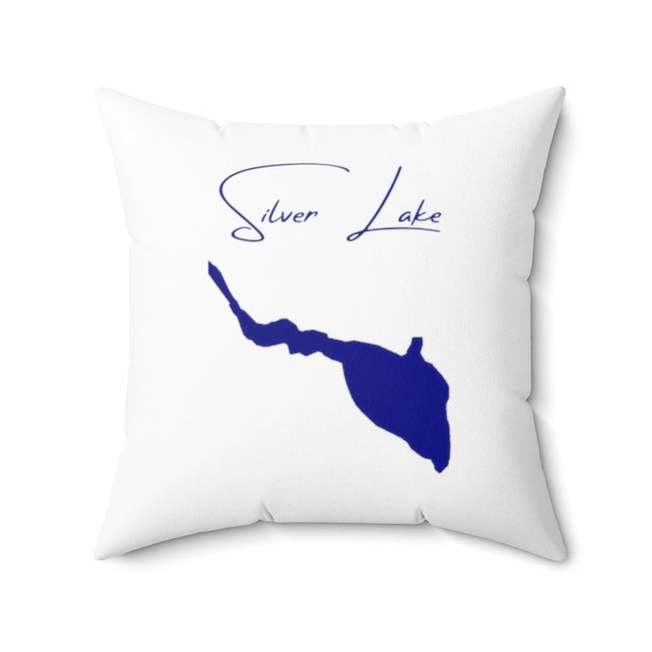 Delaware  Silver  Lake  Pillow  front  position  view  from  back  20  x  20.webp