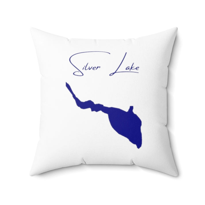 Delaware  Silver  Lake  Pillow  front  position  view  from  front  20  x  20.webp