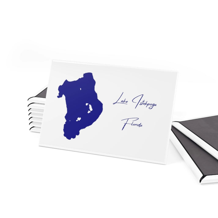 Florida  Lake  Istokpoga  Magnet  front  position  view  from  set  2  x  3.webp