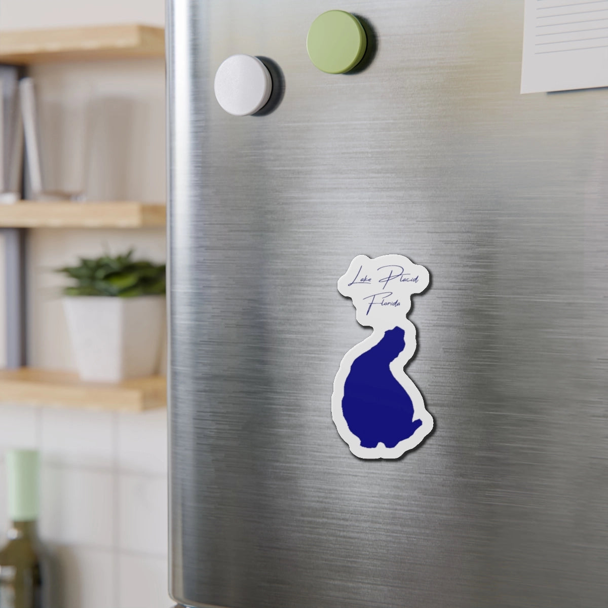 Florida  Lake  Placid  Die  Cut  Magnet  front  position  view  from  context-2  4  x  4.webp