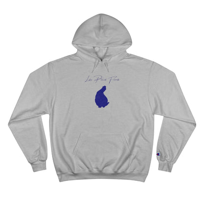 Florida  Lake  Placid  Hoodie  front  position  view  from  front  light  steel.webp