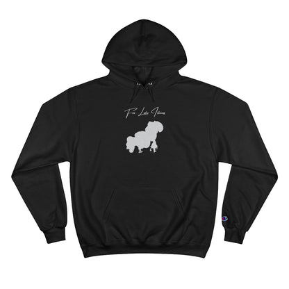 Illinois  Fox  Lake  Hoodie  front  position  view  from  front  black.webp