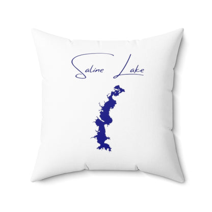 Louisiana  Saline  Lake  Pillow  front  position  view  from  front  20  x  20.webp