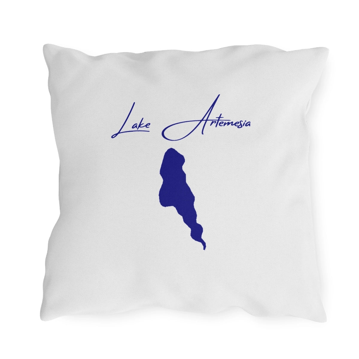 Maryland  Lake  Artemesia  Outdoor  Pillow  back  position  view  from  back  18  x  18.webp