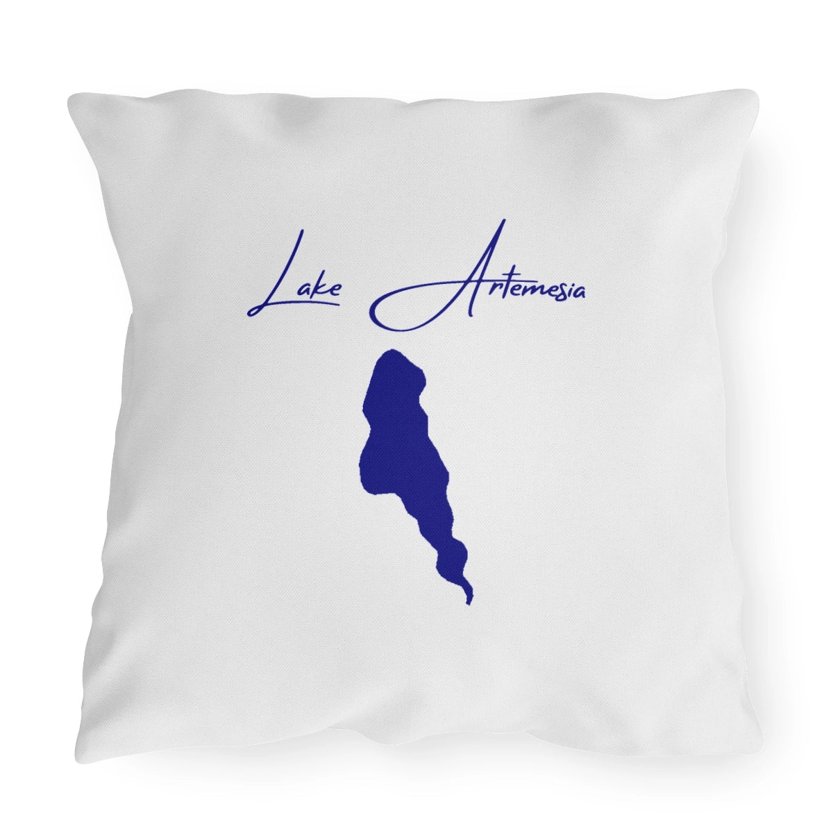 Maryland  Lake  Artemesia  Outdoor  Pillow  front  position  view  from  front  20  x  20.webp