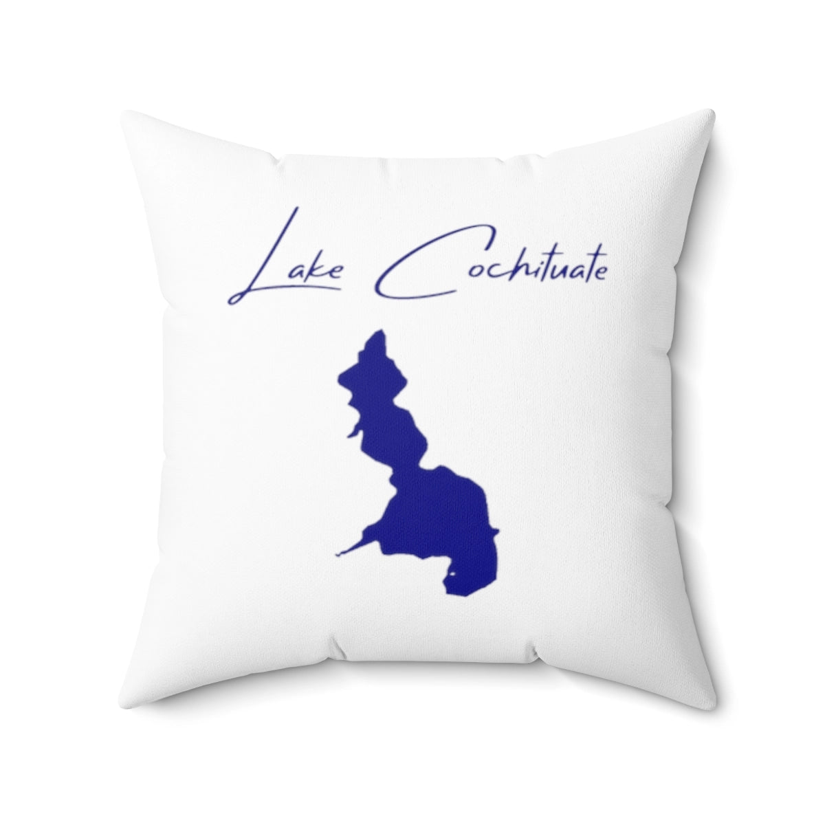 Massachusetts  Lake  Cochituate  Pillow  front  position  view  from  back  20  x  20.webp