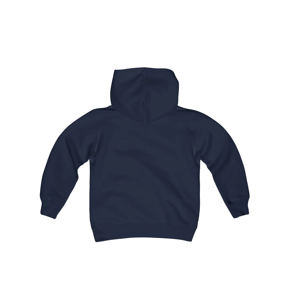 Michigan  Lake  Erie  Youth  Hoodie  back  position  view  from  back  navy.webp