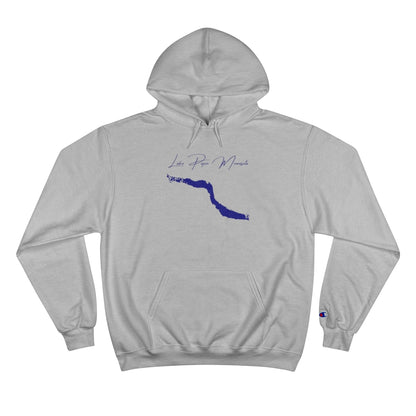 Minnesota  Lake  Pepin  Hoodie  front  position  view  from  front  light  steel.webp
