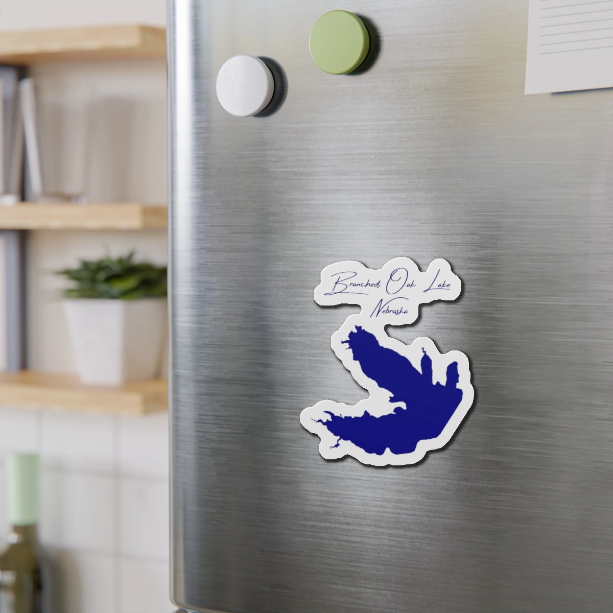 Nebraska  Branched  Oak  Lake  Die  Cut  Magnet  front  position  view  from  context-2  4  x  4.webp