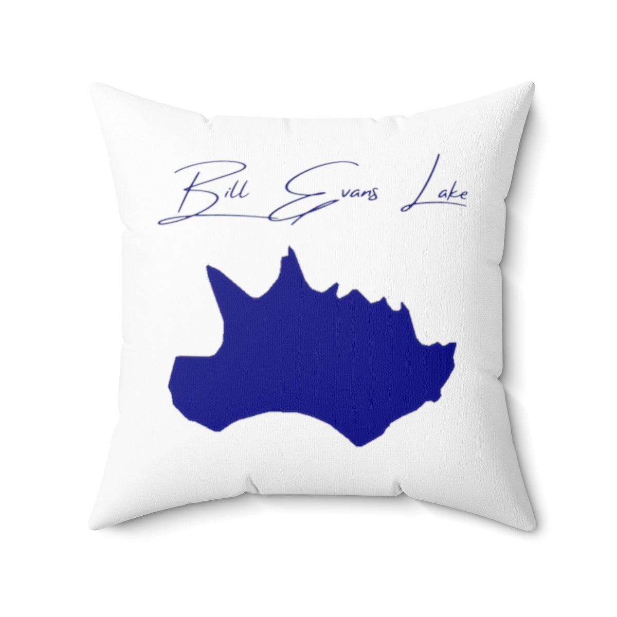 New  Mexico  Bill  Evans  Lake  Pillow  front  position  view  from  back  20  x  20.webp