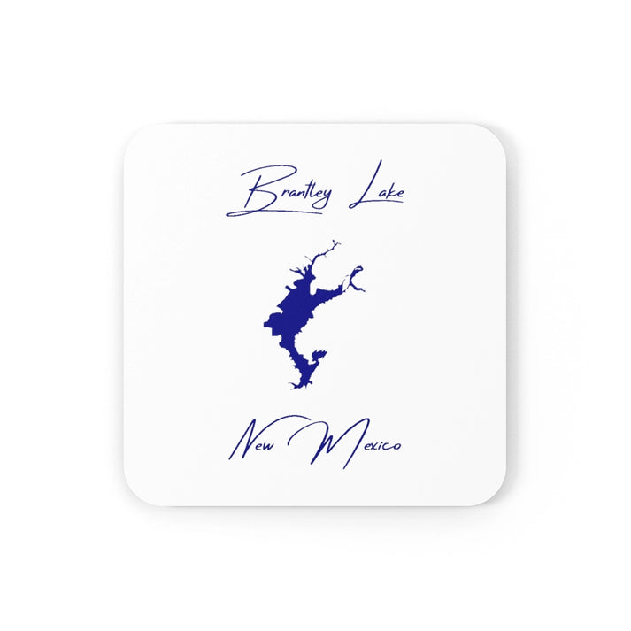 New  Mexico  Brantley  Lake  Coaster  Set  front  position  view  from  front  3.75  x  3.75.webp