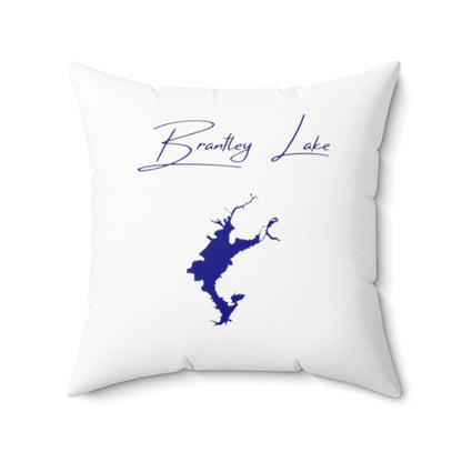 New  Mexico  Brantley  Lake  Pillow  front  position  view  from  back  20  x  20.webp