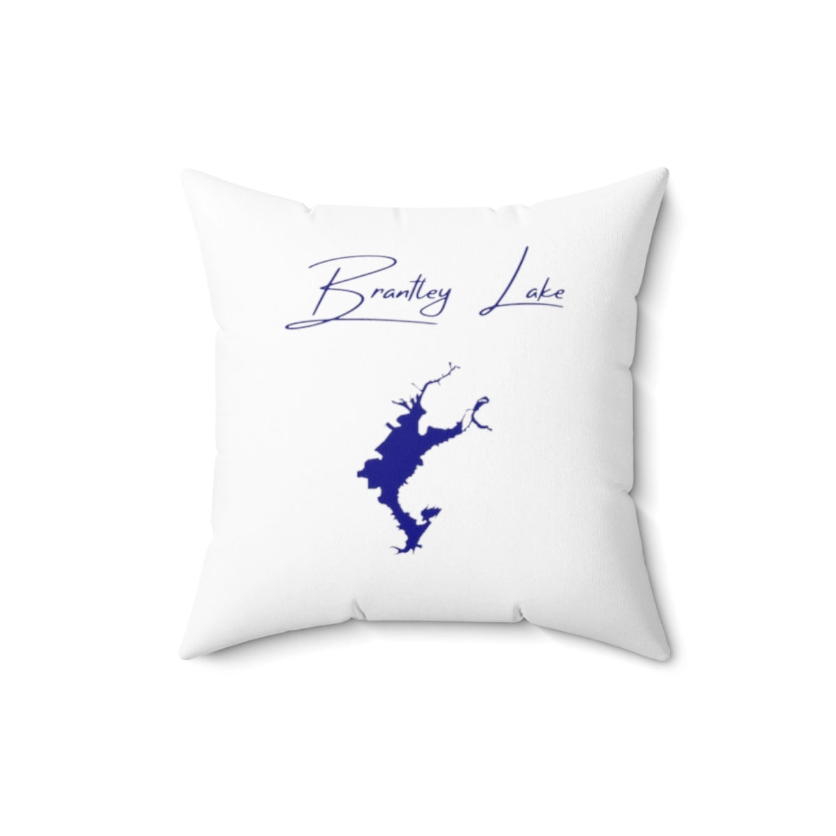New  Mexico  Brantley  Lake  Pillow  front  position  view  from  front  16  x  16.webp