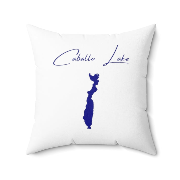 New  Mexico  Caballo  Lake  Pillow  front  position  view  from  back  20  x  20.webp