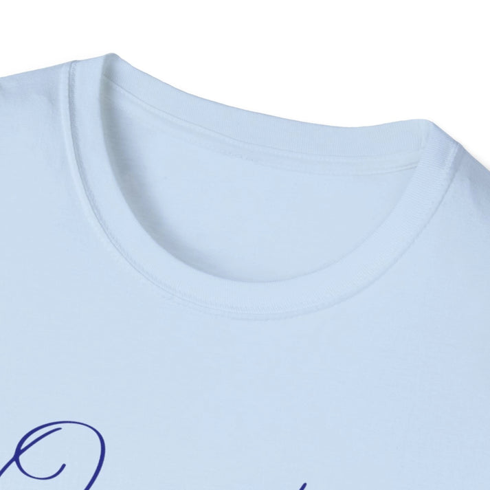 New  York  Oneida  Lake  T-shirt  other  position  view  from  front-collar-closeup  light  blue.webp