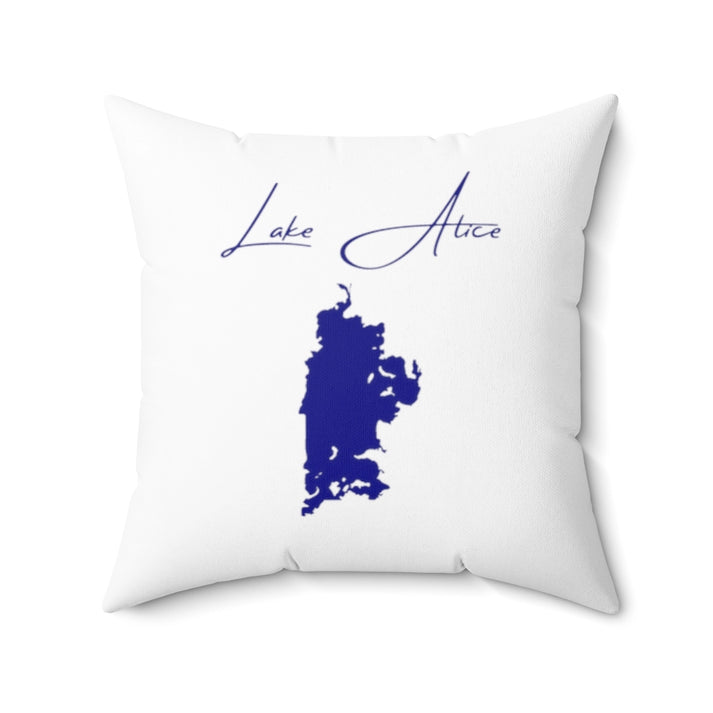 North  Dakota  Lake  Alice  Pillow  front  position  view  from  back  20  x  20.webp