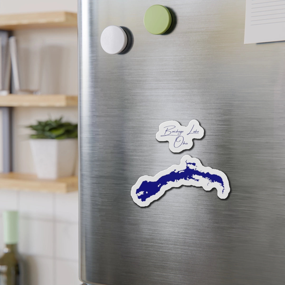 Ohio  Buckeye  Lake  Die  Cut  Magnet  front  position  view  from  context-2  4  x  4.webp