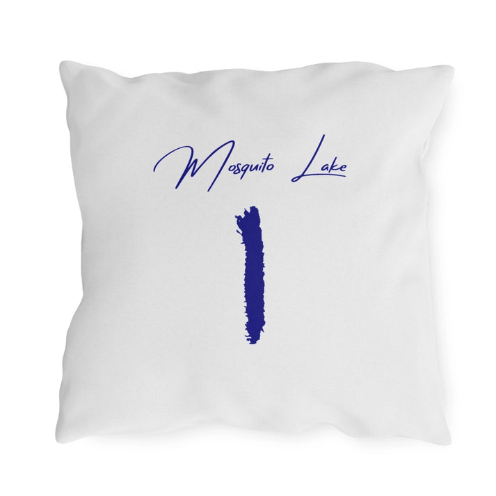 Ohio  Mosquito  Lake  Outdoor  Pillow  back  position  view  from  back  18  x  18.webp