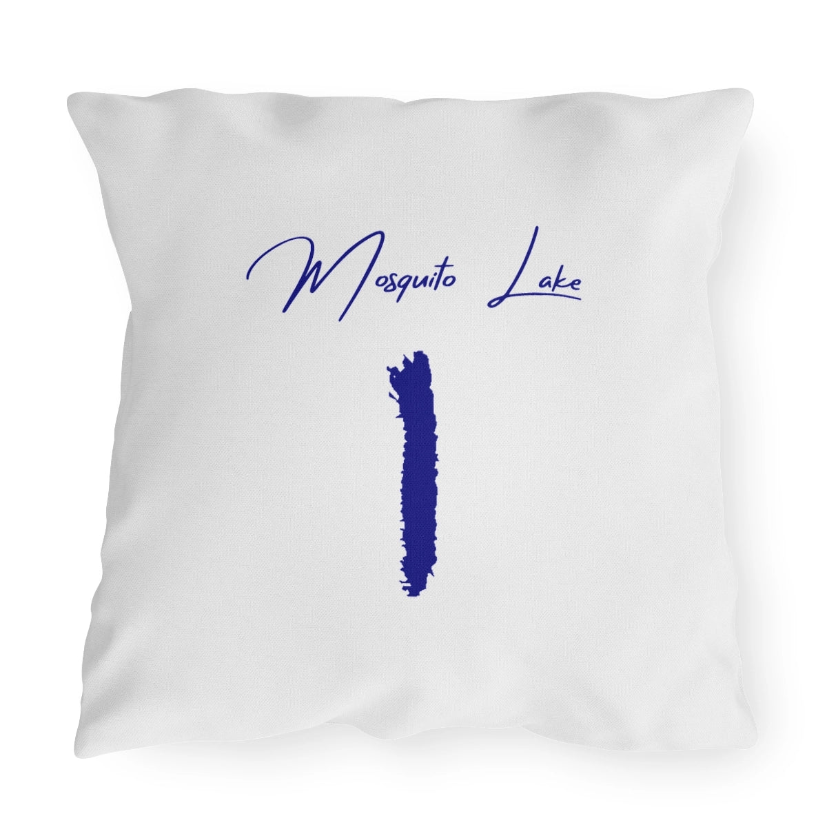 Ohio  Mosquito  Lake  Outdoor  Pillow  front  position  view  from  front  20  x  20.webp