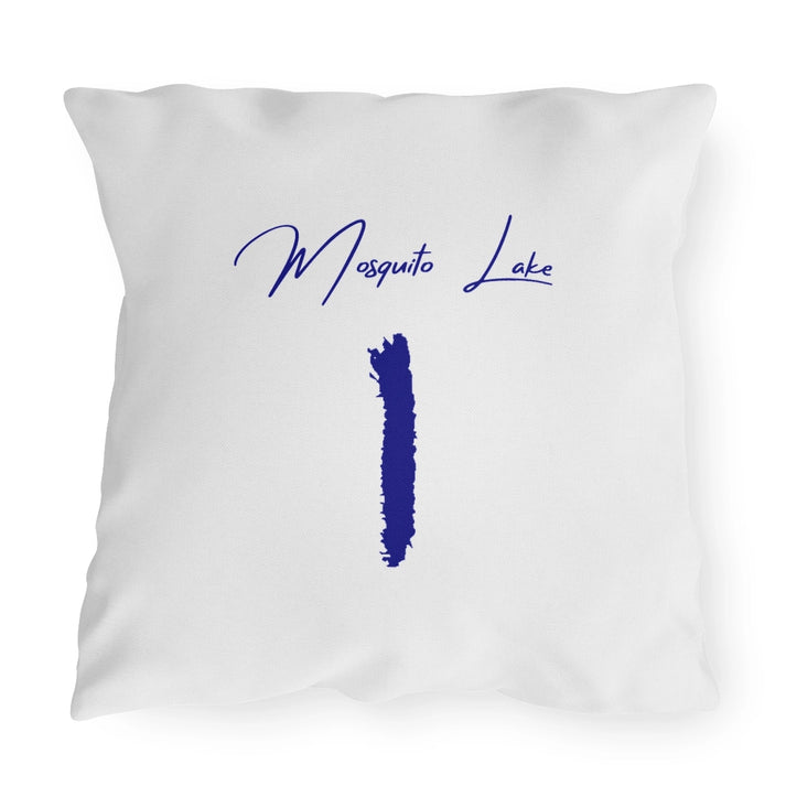 Ohio  Mosquito  Lake  Outdoor  Pillow  front  position  view  from  front  20  x  20.webp