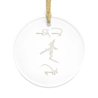 Wyoming  Seminoe  Reservoir  Tree  Ornament  other  position  view  from  back  round.webp